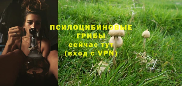 ГАЛЛЮЦИНОГЕННЫЕ ГРИБЫ Балабаново