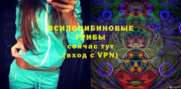 ГАЛЛЮЦИНОГЕННЫЕ ГРИБЫ Балабаново